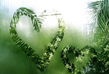 2024欧洲杯为何选择比亚迪作为官方合作伙伴？