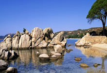 乒乓球直播间(5)在线直播有哪些亮点值得关注？